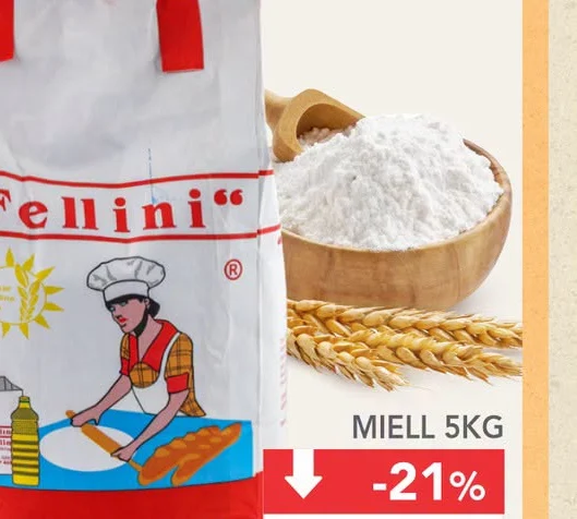 Pire 300GR