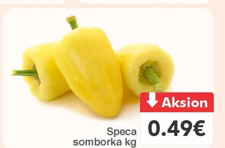 Speca Somborka Kg