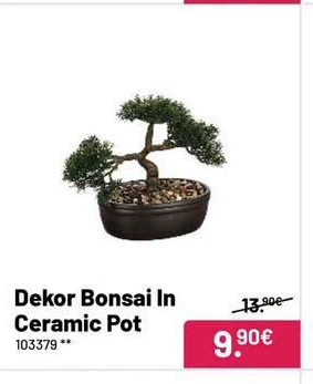 Dekor Bonsai In Ceramic Pot